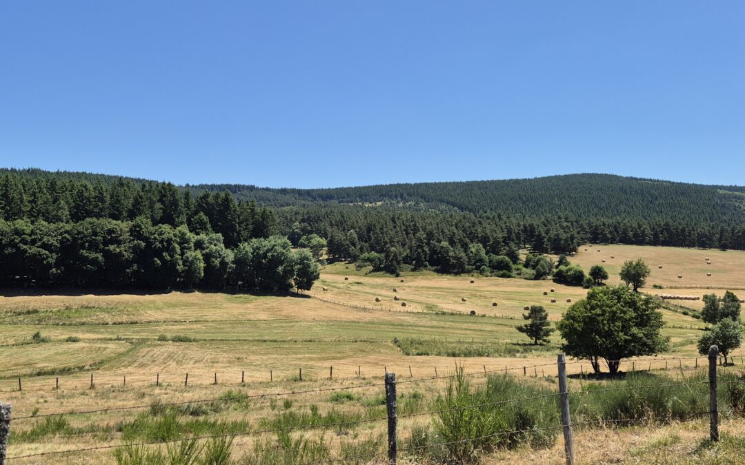 Vivre la nature en grand dans la Margeride