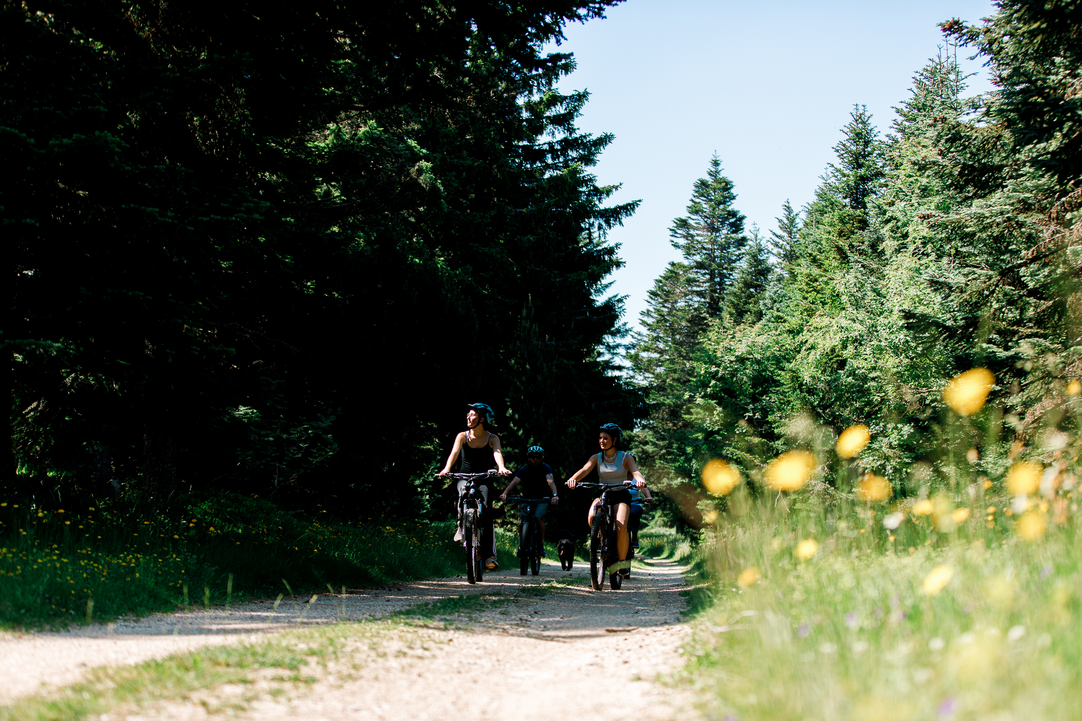 village chalets bouviers lozere station nature vtt biathlon (38)