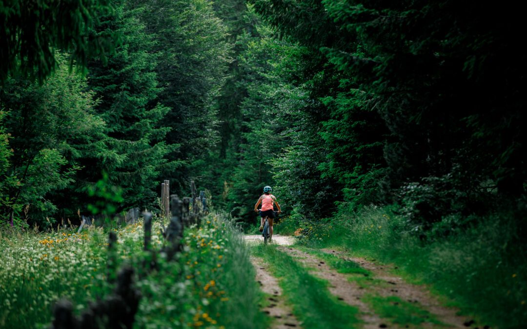 Séjour nature et fraîcheur en Margeride