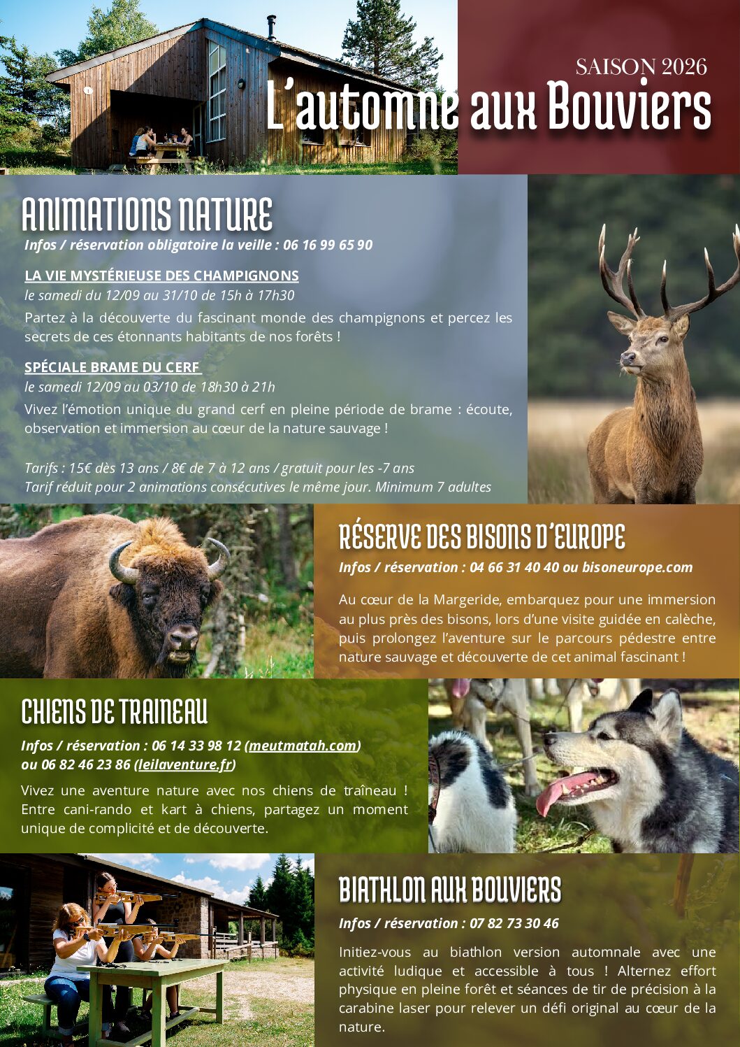 Que faire cet automne en Lozère ? Le guide des animations et activités nature aux Bouviers